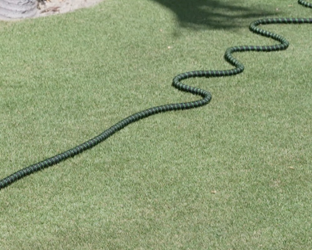 bungee hose expands up to 50 ft