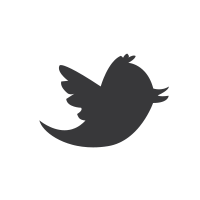 Twitter social icon