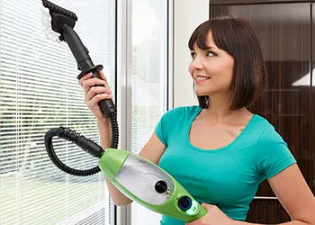 Handheld Steamer