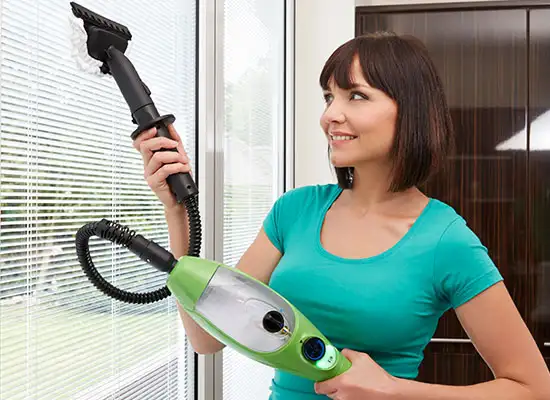 Handheld Steamer