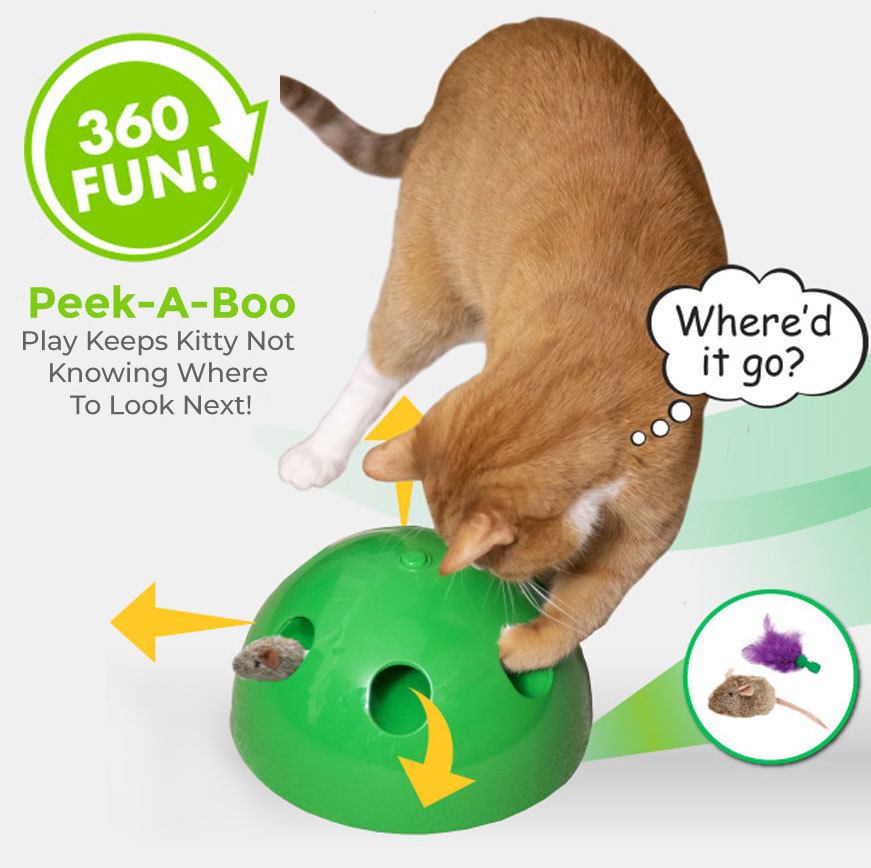 pop and play cat toy