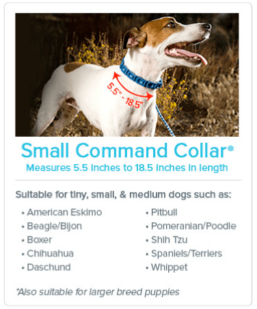 sullivan dog training collar